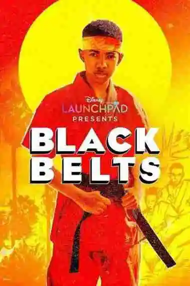 Black Belts martial arts movie poster